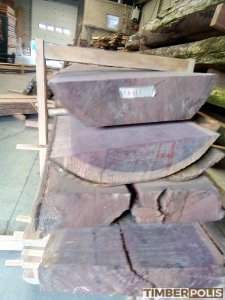 tropische houtsoorten