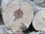 Bois débité pour construction