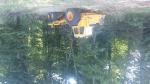 Porteur forestier VOLVO 868  |  Machines forestières | Machines à bois | Adam