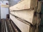 Tilleul Bois débité pour menuiserie | Bois dur | Sciages | JAF HOLZ Slovakia