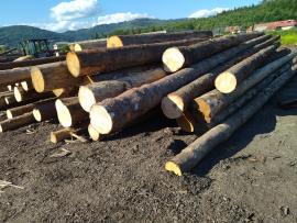 Épicéa Rondin de sciage | Bois tendre | Grumes | Peter Haladej