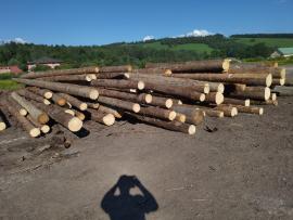 Épicéa Rondin de sciage | Bois tendre | Grumes | Peter Haladej