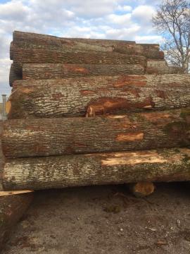 Chêne Rondin de placage | Bois dur | Grumes | D&C SNEGL