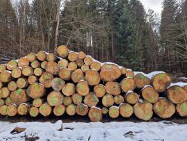 Sapin Rondin de sciage | Bois tendre | Grumes | ALBA Forrest s.r.o.
