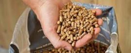 Pellets Épicéa | Chauffage, briquettes | SCOPULUS Handels-und Dienstleistungs GmbH