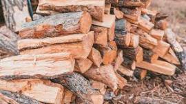 Bois de chauffage Pin | Chauffage, briquettes | SCOPULUS Handels-und Dienstleistungs GmbH