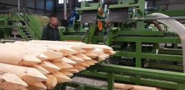 Autre technique Kompletn výroní Linka kulů . | Machines de scierie | Machines à bois | Drekos Made s.r.o
