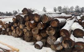 Bois à papier