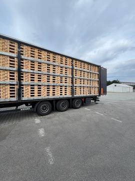 Palettes Palettes à utilisation unique | Emballages, palettes | Woodproo s.r.o.