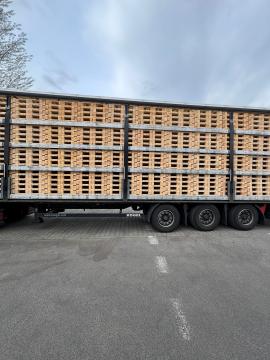 Palettes Palettes à utilisation unique | Emballages, palettes | Woodproo s.r.o.