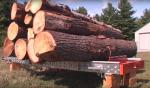 Kmeňová pásová píla Kanada -HD36 |  Outils de sciage | Machines à bois | Drekos Made s.r.o