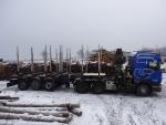 Véhicule tout-terrain Scania R420 LA6x4,návěs Svan |  Outils de transport et de manipulation | Machines à bois | JANEČEK CZ 