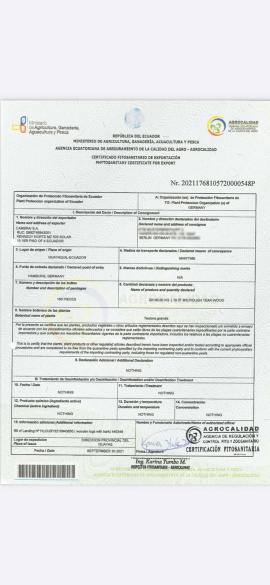 Teak Rondin de sciage |  Bois tropique | Rondin | SOFT IT SP .ZO.O SPÓŁKA Z OGRANICZONĄ ODPO