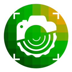 Application mobile